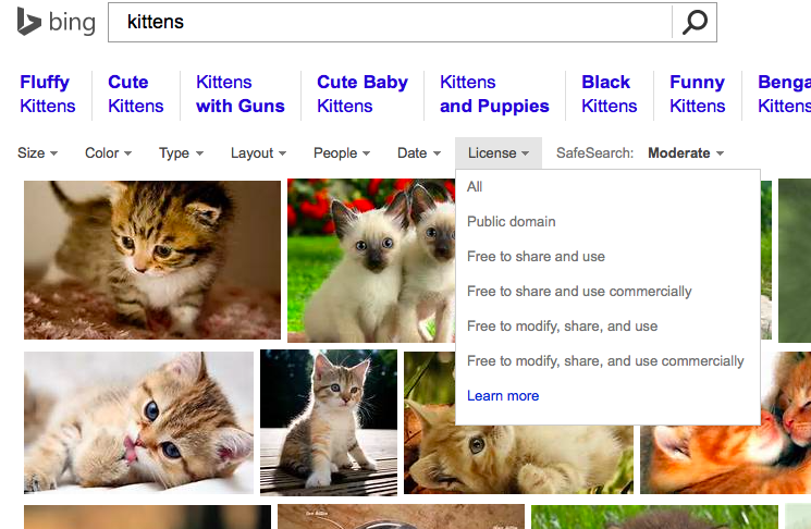 Bing Image Search for "Kittens"